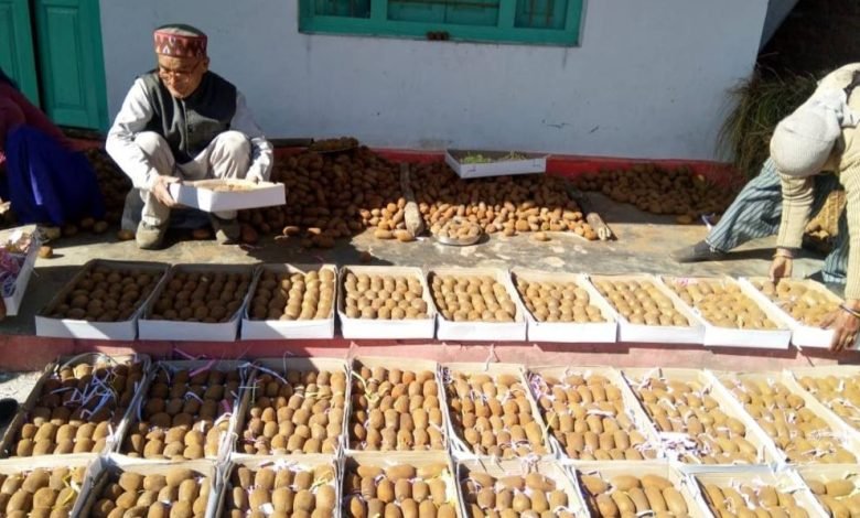 पलायन से प्रगति की ओर बढ़ता बागेश्वर: रिवर्स माइग्रेशन बना युवाओं और किसानों की नई ताकत