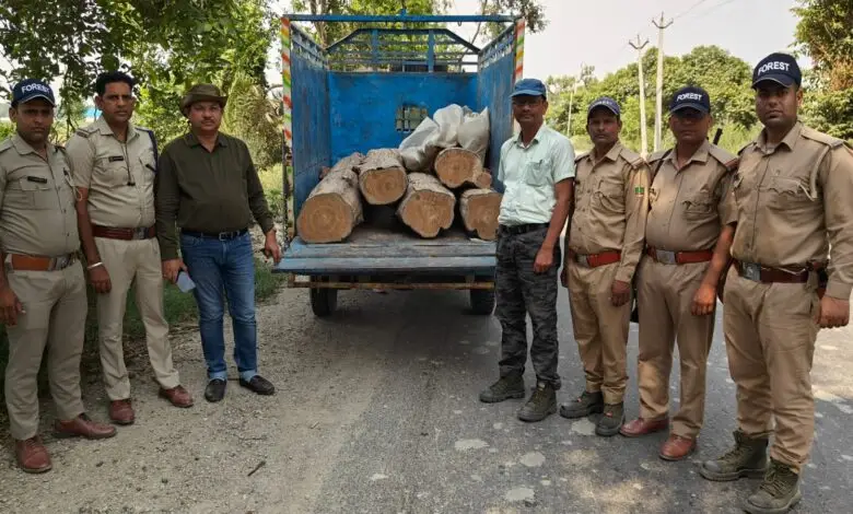 रुद्रपुर: टांडा रेंज की स्पेशल टीम का बड़ा एक्शन, लाखों की सागौन लकड़ी जब्त