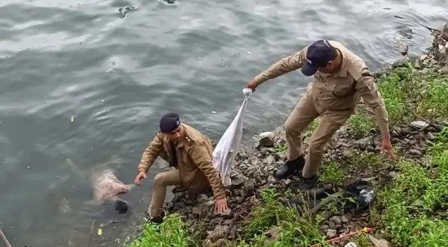 नैनीताल – दोस्त से मिलने निकला था युवक तीन दिन बाद झील में मृत मिला, रात को होटल से निकला था प्रकाश