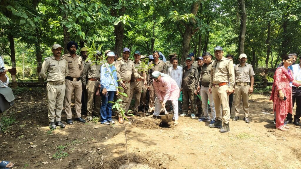 स्मृति वन ऋषिकेश में पर्यावरण संरक्षण के लोक पर्व हरेला अभियान के तहत जिला गंगा संरक्षण समिति देहरादून,वन विभाग ऋषिकेश ,नगर निगम एवं विभिन्न संगठनों ने मिलकर बृहद पौधरोपण